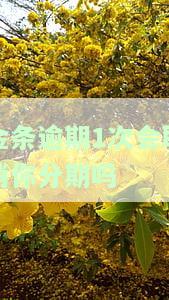 金条逾期一次不能再借：原因解析