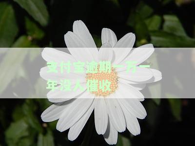 支付宝逾期一万一年没人催收会怎么样，支付宝逾期一年未被催收，会产生哪些后果？