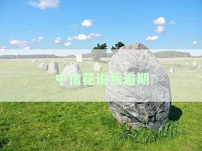 中信还不了款，中信无力偿还：一场金融风暴的预兆？