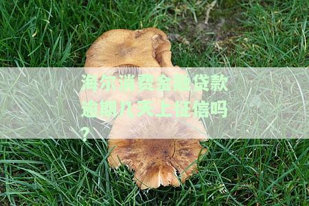 海尔消费金融贷款逾期几天会否影响征信？知乎上有答案吗？
