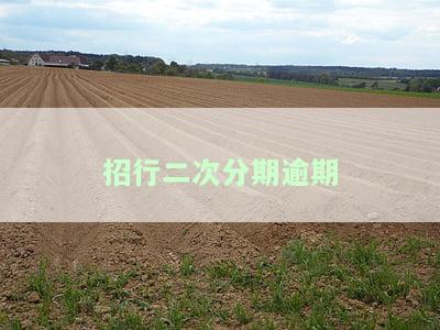 招行二次分期逾期处理方法：影响及额度恢复可能性分析