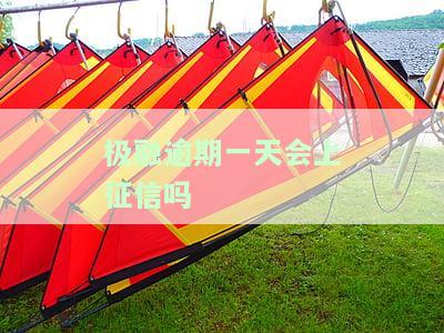 极融逾期一天会否上征信？知乎用户分享经验与解答