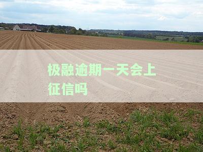 极融逾期一天会上征信吗，极融逾期一天是否会影响个人征信？