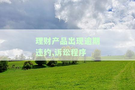 理财产品出现逾期违约,诉讼程序怎么办？全程解析