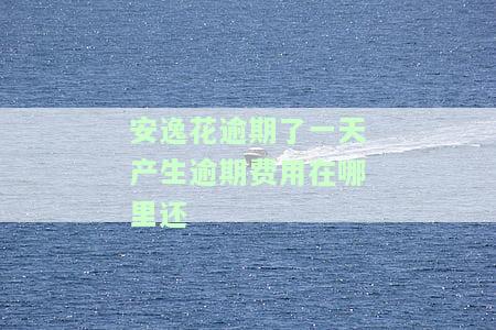 安逸花逾期1天还款后能否再次借款？