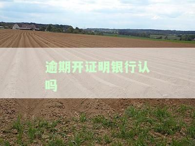 如何办理贷款？开了逾期证明就一定能办下来吗？安全吗？