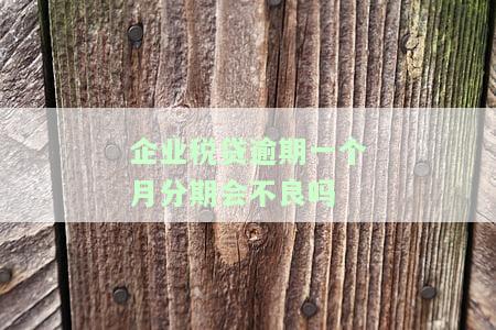 企业税贷逾期一天能否继续申请贷款？影响及解决方案全解析