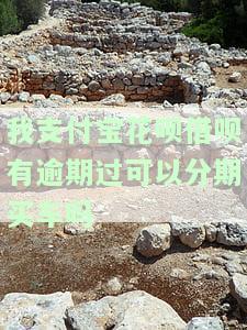 我支付宝花呗借呗有逾期过可以分期买车吗-支付宝花呗借呗有逾期的可以按揭买车吗
