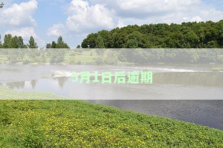 当前逾期每月几号更新，影响个人征信记录，请注意查询日期