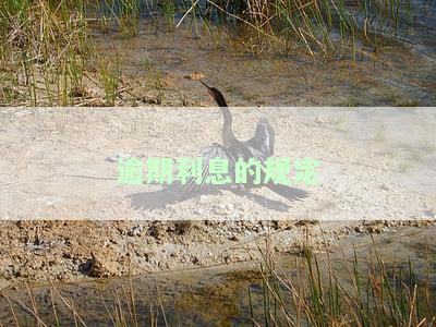 逾期利息的规定最新，最新规定：逾期利息详解