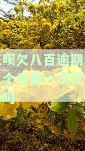 花呗逾期了三个月1000块钱还了没事吧，花呗逾期三个月，还清1000元会有影响吗？