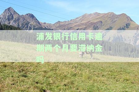 浦发银行信用卡逾期两个月要滞纳金吗-浦发银行信用卡逾期两个月要滞纳金吗多少