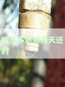 桔多多逾期两天会怎么样，警惕！桔多多逾期两天可能带来的后果