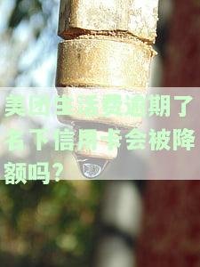 美团生活费逾期，会影响名下信用卡额度吗？