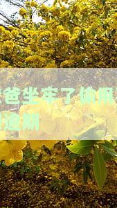 人坐牢后未还款，每月仍需支付花呗罚息，如何处理？