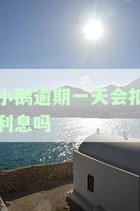 小鹅花钱逾期1天，小心！小鹅花钱逾期1天可能会带来严重后果