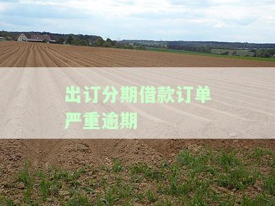 出订分期借款订单严重逾期如何处理？