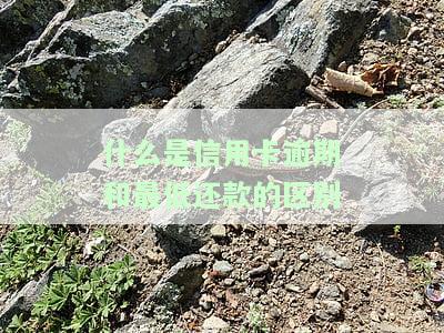 信用卡最低还款额逾期，避免高额罚款：理解并支付信用卡最低还款额
