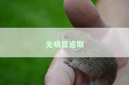 无逾期是什么意思，解析词汇：无逾期的含义与重要性