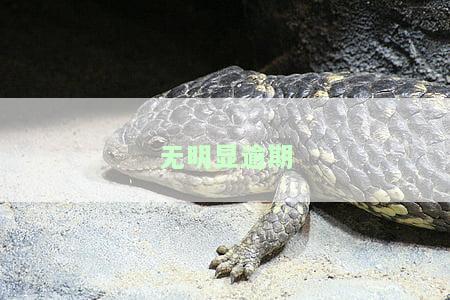 没有逾期征信显示逾期怎么办，逾期未还，但征信却显示已逾期？如何解决这个问题？