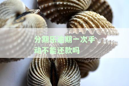 分期乐逾期要求一次性还清还不了后果会怎样，分期乐逾期：一次性还清的压力大，未还款的后果严重