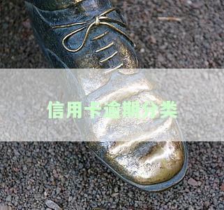 信用卡逾期分类标准，深入了解：信用卡逾期的分类及影响标准