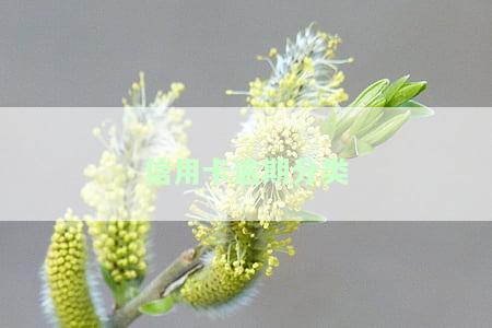 信用卡逾期分类管理办法，解读《信用卡逾期分类管理办法》：规信用卡逾期行为，保障持卡人权益