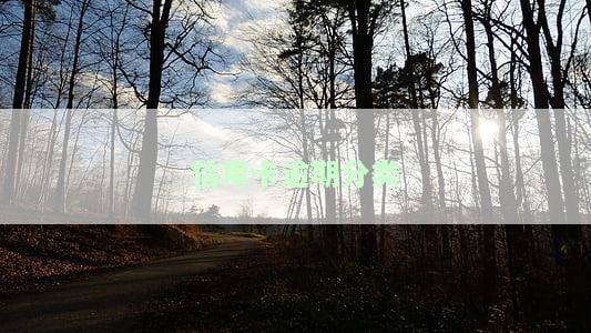 什么是信用卡逾期记录，了解信用卡逾期记录：影响、产生原因及解决方法