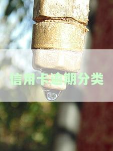 逾期五大分类：深入了解逾期的各种类型
