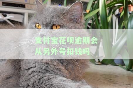 支付宝花呗逾期：是否会从其他账号扣款？安全吗？