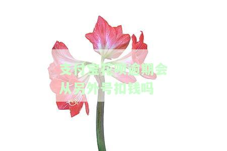 支付宝花呗逾期会从另外号扣钱吗怎么办，如何避免支付宝花呗逾期扣款？