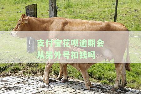 支付宝花呗逾期会自动扣除支付宝余额吗？安全性如何？
