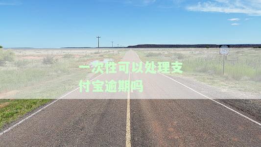一次性可以处理支付宝逾期吗，一站式解决：一次性处理支付宝逾期
