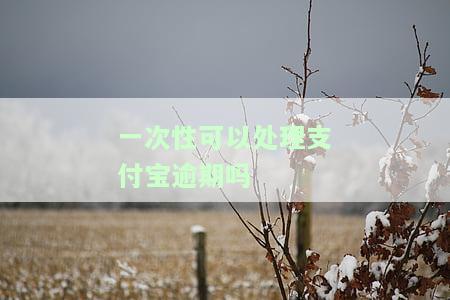 支付宝逾期一次性还清：需要支付利息吗？如何操作？