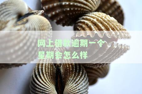 网贷逾期1个星期会否影响征信？
