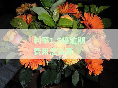 利率1.5倍罚息：正常利率与罚息均乘以1.5倍