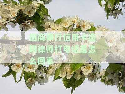 招商银行信用卡逾期律师打电话是怎么回事啊，揭秘：招商银行信用卡逾期后，为何会接到律师电话？
