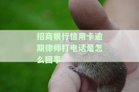 招商银行律师打电话说起诉，招商银行即将对您提起诉讼，律师电话通知，请及时处理