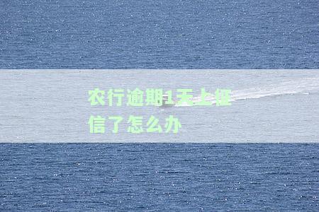 农行逾期1天上征信了怎么办