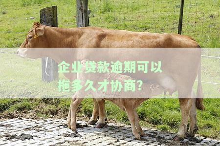 企业贷款逾期可以拖多久才协商？