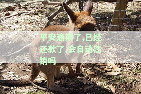 平安逾期了,已经还款了,会自动注销吗-平安逾期了,已经还款了,会自动注销吗