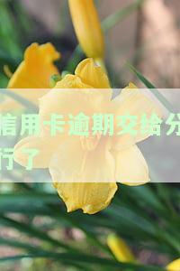 又一次信用卡逾期不会影响去银行上班吧？我需要知道是否会影响我的工作