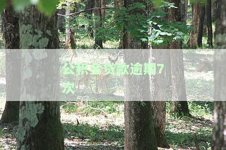 公积金贷款逾期7次会否上征信？有何影响？如何解决？