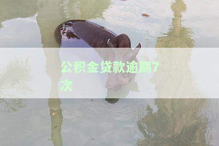 公积金贷款逾期次数限制：影响及规定