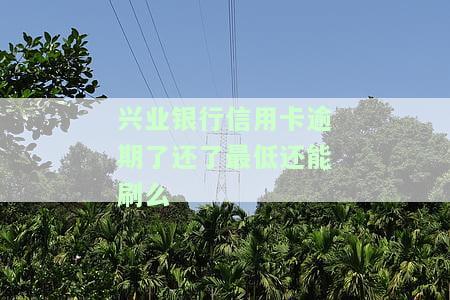 我兴业银行信用卡逾期了还不上怎么办？2021年新规解析