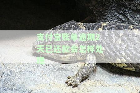 支付宝账单逾期2天已还款会怎样处理呢，如何处理支付宝账单逾期两天已还款的情况？