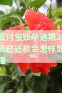 支付宝逾期两天还款，会对信用有影响吗？