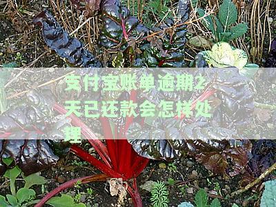 支付宝逾期两天还款后是否能再次使用，支付宝逾期两天还款后，能否立即恢复正常使用？