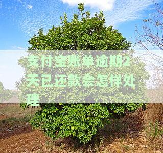 支付宝逾期两天把钱还上会影响征信吗，逾期两天还款是否会影响支付宝用户的征信记录？