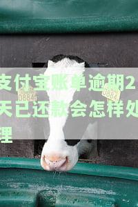 支付宝了两天还款，逾期两日还款，支付宝用户需要注意